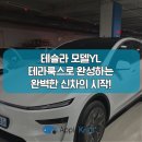 YL광고 | 영등포 신차패키지, 테슬라 모델YL과 테라룩스IR로 완성하는 완벽한 신차의 시작!