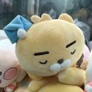 동네 뽑기방 이미지