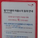 분당 평일 가성비 갑 키즈까페 딸기가 좋아 분당점 시설&amp;먹거리