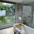 해피빌라 | 나트랑 숙소 래디슨 블루 리조트 풀빌라 내돈내산 후기 (해피아워, 수영장 정보)