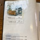 교산1길 | 돈까스 덕후도 반한 댓짱돈까스 내돈내산 후기 - 성남 위례 돈까스 맛집