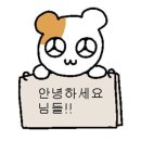 [서울/마포] 마포 족발맛집 마포소문난원조족발 (내돈내산)