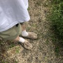 페르커 ferker:: 포드 샌들 애쉬 Pord Sandal ash 후기, 착샷