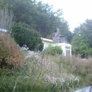 금강초등학교 이미지