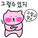 폴라스튜디오 이미지