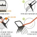 로타리건재 이미지