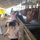 윤찬농장 이미지