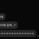 카페나도미