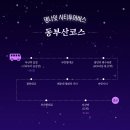 야경시티투어 | 2024 댕나잇 시티투어버스 부산 반려견 동반 야경 시티 투어 후기