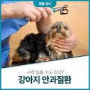 으뜸원동물병원 이미지