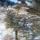 지천소공원 이미지