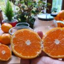 동환농장 이미지