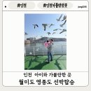 월미도 관광안내소 | [인천 가볼만한 곳]인천 아이와 함께 가볼만한 곳 월미도 영종도 배 시간, 차량탑승, 가격 안내