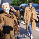 대신모자 이미지