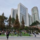 반송동171 | 동탄 반송동 이탈리아음식 정원 171에서 꽃게 로제 파스타 스테이크 버섯 크림 리조또