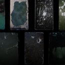 상상바이오 주식회사 이미지