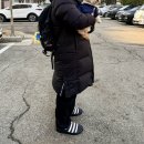 4559 | 아디다스 퍼피렛 패딩 슬립온 겨울 남성신발 GY4559 후기