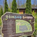 오산시 꿈두레도서관 | 오산 꿈두레도서관 독서 캠핑장 후기, 아이들과 봄나들이 가기 좋은 곳
