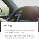제주탁송: 제주굿서비스로 제주살이 다녀왔어요!
