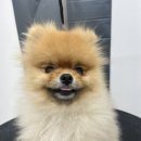 멍그라미 이발소 이미지