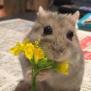 우리스포츠센터(골프) 이미지