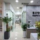 톰과 제니 동물메디컬센터 이미지