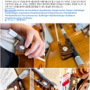 아르커스 이미지