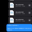 지정16 | 웨딩대작전 ep.16 워크인 드레스 꿀팁 셀레네 지정 후기
