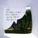 양서 초등학교 이미지