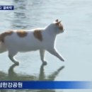 아싸다