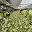 김포농협영농자재 이미지