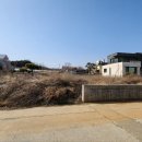 천일부동산중개인사무소 이미지