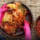 참맛톡톡