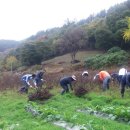 거산1리 이미지