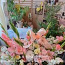 개항동 행정복지센터 이미지