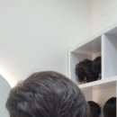 바른모 강남본점