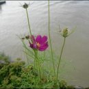 모텔러브 오마이뉴스
