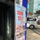 도도브로우 이미지