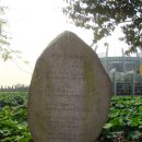 회산백련지 수상유리온실 이미지