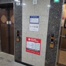 중화짬뽕 | 파주 야당역 맛집 보배반점 크림짬뽕 중화비빔면 점심 후기