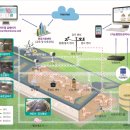 스마트 행정사법인 이미지