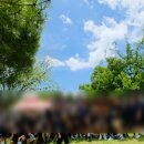 반림중학교 이미지