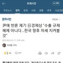 尹에 반론 제기 日경제상 "수출 규제 해제 아니다…한국 향후 자세 지켜볼 것" 이미지