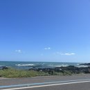 애월 하루 이미지