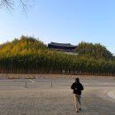 언노운 호텔 | 담양숙소 ㅣ 죽녹원 관방제림 근처 언노운호텔 숙박 후기