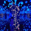 아트&테크놀로지 패키지 이미지