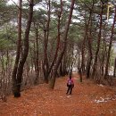 거북민박 이미지