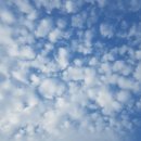 파도농장 이미지