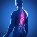 지웰신경외과의원 이미지