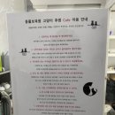동물보육원 고양이 후원 카페 이미지